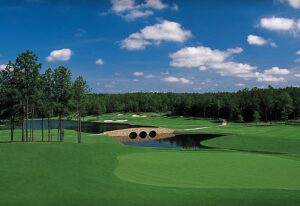 Mount Vintage Golf